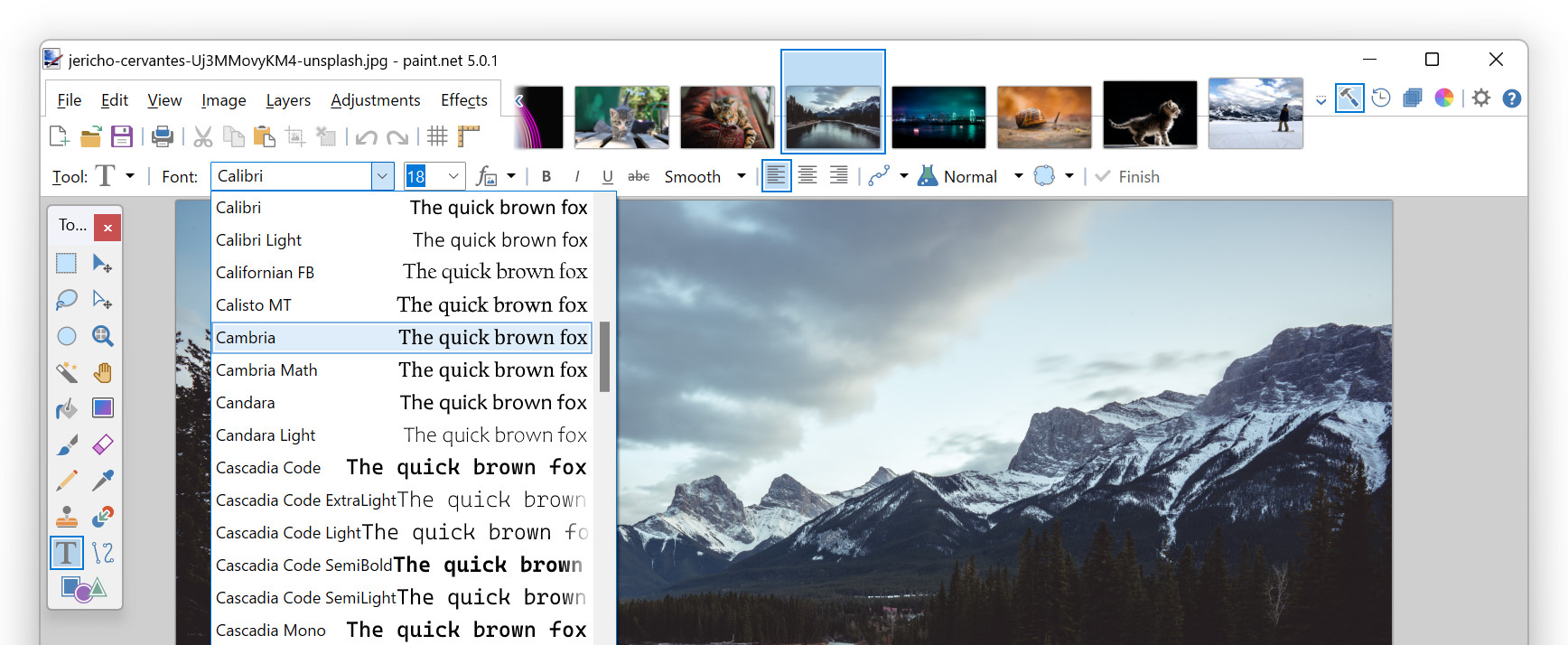 Paint.NET's tabbed interface showing live thumbnails of open images